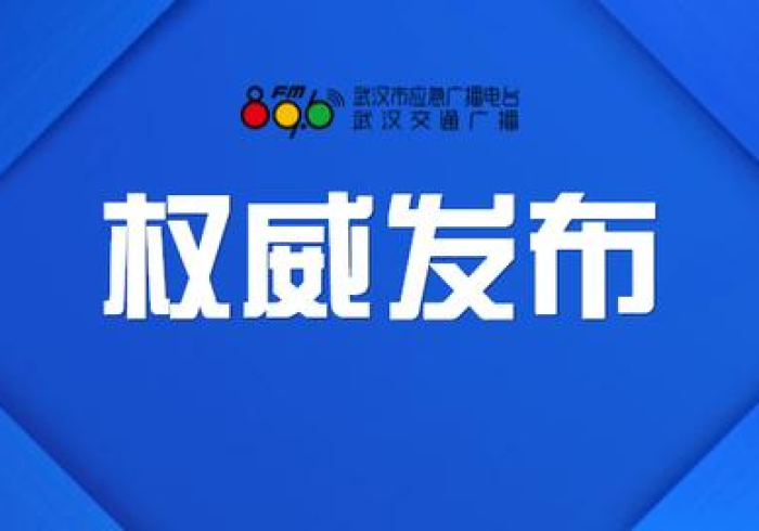 广州疫情昨日消息，精准防控下的城市韧性