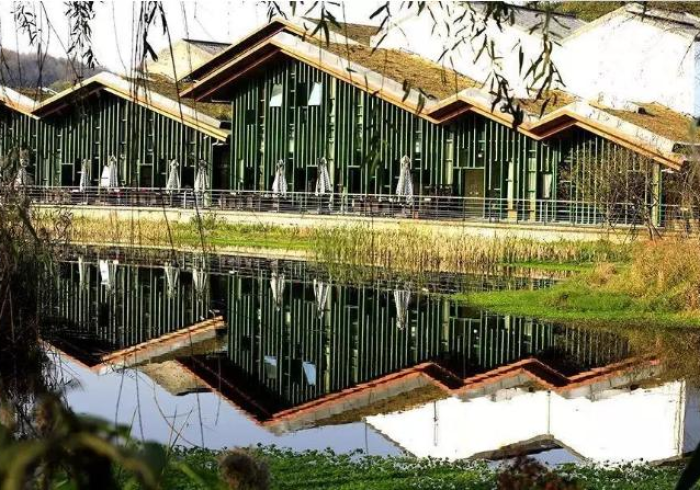 广州与杭州,两座城市的疫情叙事与文明韧性 广州与杭州,两座城市的疫情叙事与文明韧性