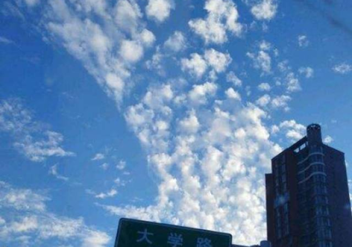 广州疫情拉响新警报,郑州会否重蹈封城覆辙? 广州疫情拉响新警报,郑州会否重蹈封城覆辙?