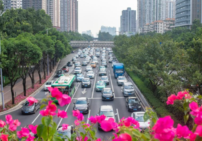 广州新增确诊病例,一座超大型城市的韧性大考 广州新增确诊病例,一座超大型城市的韧性大考