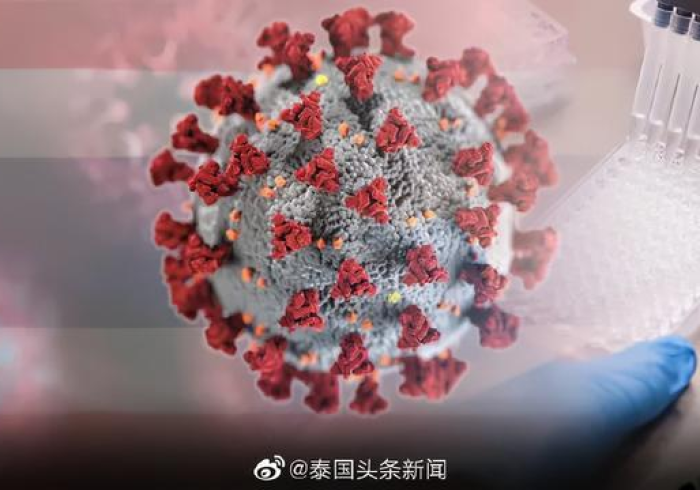 无声的变异，广州新发病毒与城市免疫系统的进化