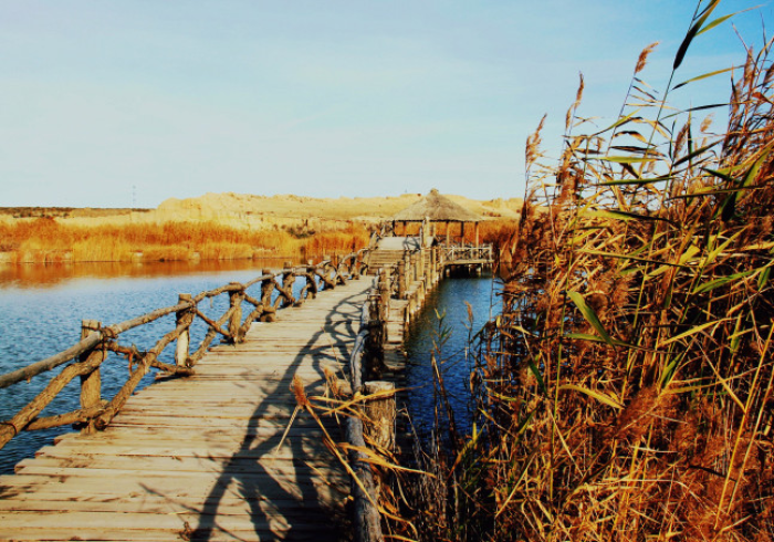 银川战疫,黄河之畔的坚韧与温情 银川战疫,黄河之畔的坚韧与温情