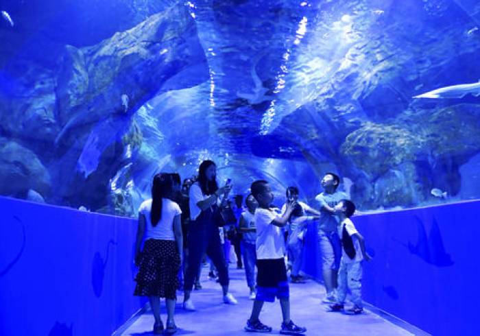 西宁,高原古城的静默与脉动 西宁,高原古城的静默与脉动