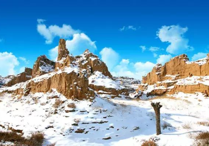 宁夏抗疫启示录，从塞上江南的宁静到全民战疫的坚韧