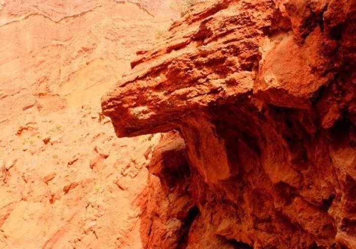 海伦静默,寒地黑土上的疫情阻击战与坚韧守望 海伦静默,寒地黑土上的疫情阻击战与坚韧守望