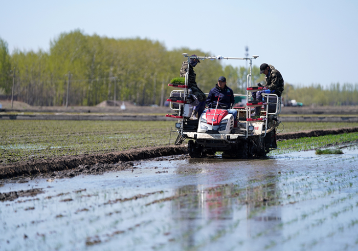 黑龙江疫情,从北国严冬到精准春耕的持久战 黑龙江疫情,从北国严冬到精准春耕的持久战