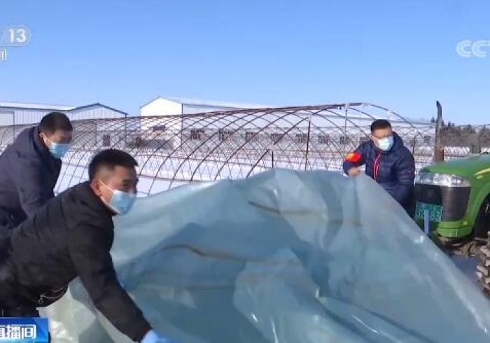 黑龙江疫情,从北国严冬到精准春耕的持久战 黑龙江疫情,从北国严冬到精准春耕的持久战