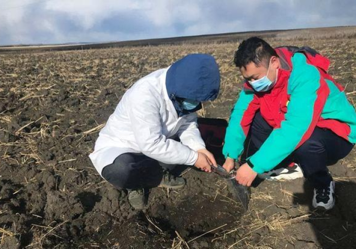 黑土地上的生命拉锯战，当病情成为省情的隐喻