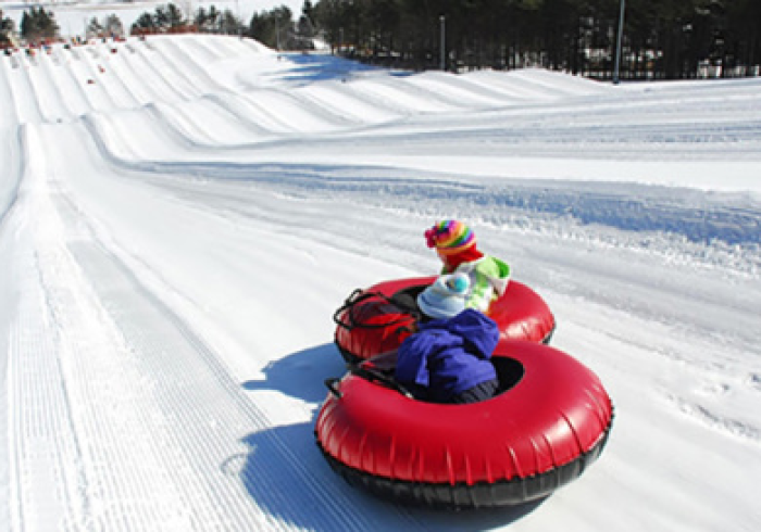 哈尔滨再迎疫情大考,冰雪之城的坚韧与守护 哈尔滨再迎疫情大考,冰雪之城的坚韧与守护