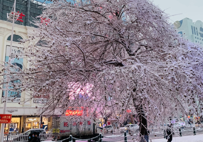 哈尔滨战疫,冰城之韧与希望之春 哈尔滨战疫,冰城之韧与希望之春