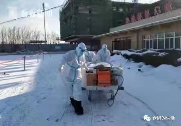 黑龙江新疫情，寒地战疫中的坚韧与启示