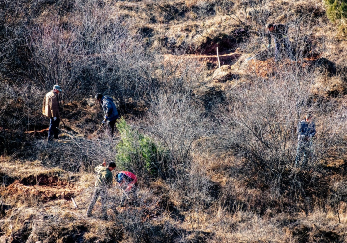 青冈战疫，黑土地上的人间温度