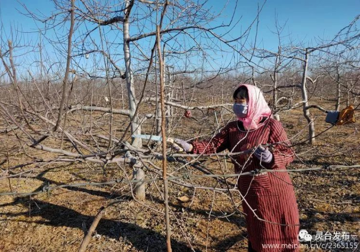 青冈战疫,黑土地上的人间温度 青冈战疫,黑土地上的人间温度