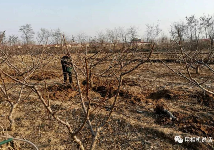青冈战疫,黑土地上的人间温度 青冈战疫,黑土地上的人间温度