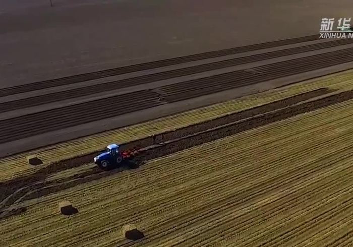 甘南战疫,黑土地上的坚韧与微光 甘南战疫,黑土地上的坚韧与微光