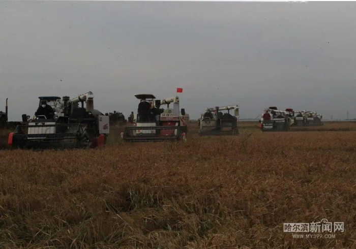 黑土地上的生命保卫战，黑龙江抗疫全景透视