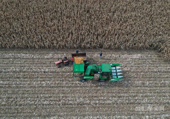 黑土地上的生命保卫战，黑龙江抗疫全景透视