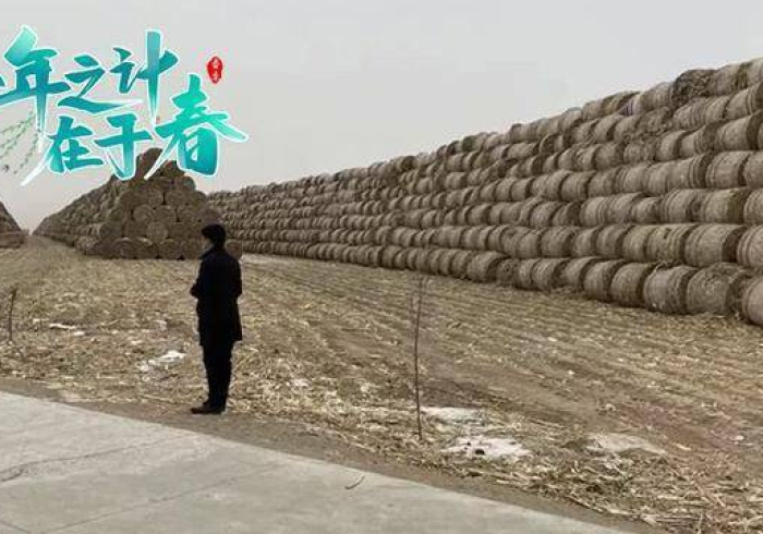 黑土地上的生命保卫战，黑龙江抗疫全景透视