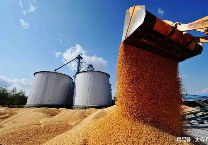 黑土之上，吉林之名，一场跨越省界的疫情叙事