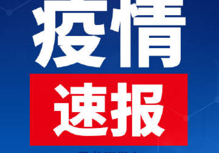 黑龙江省疫情最新通告今天，精准防控下的坚韧与希望