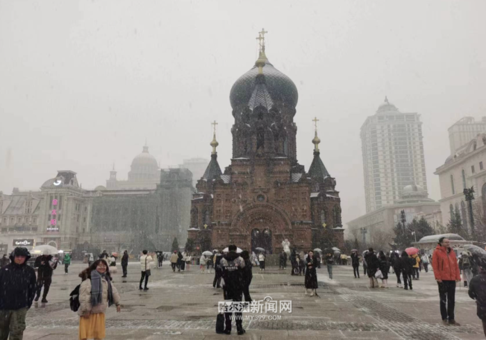 哈尔滨的雪与台北的雨,当疫情通报成为两岸的共同语言 哈尔滨的雪与台北的雨,当疫情通报成为两岸的共同语言