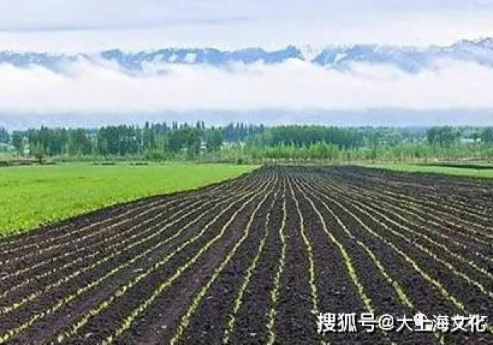 黑土地上的战疫长城,黑龙江疫情防控的坚韧与启示 黑土地上的战疫长城,黑龙江疫情防控的坚韧与启示