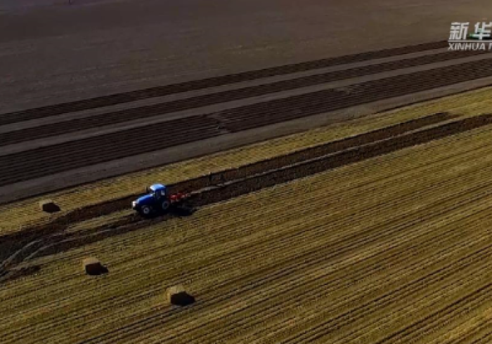 疫情报告背后，黑土地上的坚韧与温度