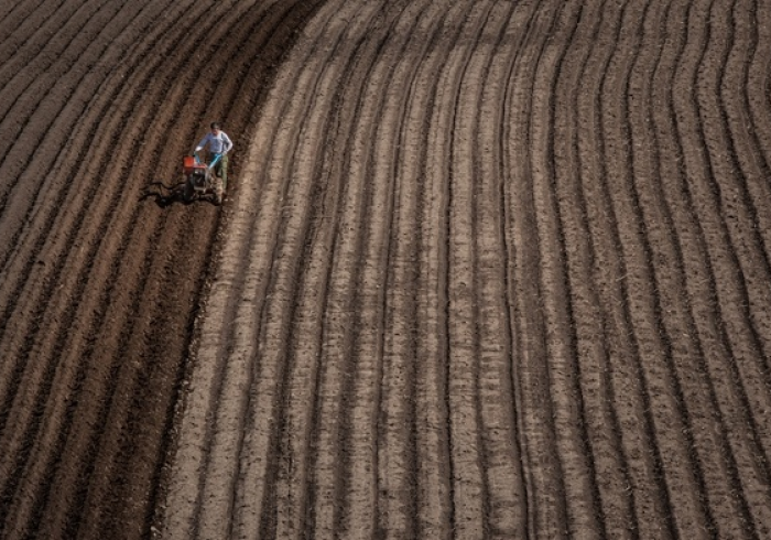 疫情报告背后，黑土地上的坚韧与温度
