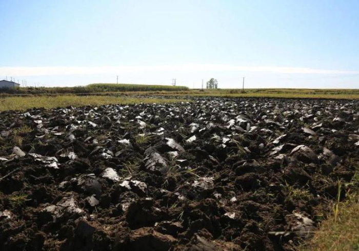 疫情报告背后，黑土地上的坚韧与温度