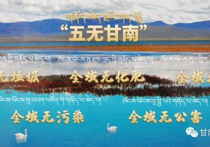 黑龙江甘南,疫情下的坚守与复苏 黑龙江甘南,疫情下的坚守与复苏