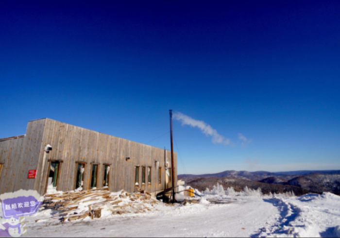 哈尔滨疫情公告，冰雪之城的坚韧与温度