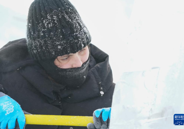 哈尔滨战疫,冰城寒冬中的坚韧与微光 哈尔滨战疫,冰城寒冬中的坚韧与微光