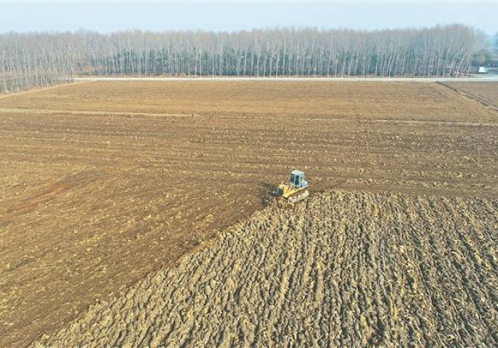 公告背后,黑土地上的全民战疫叙事 公告背后,黑土地上的全民战疫叙事