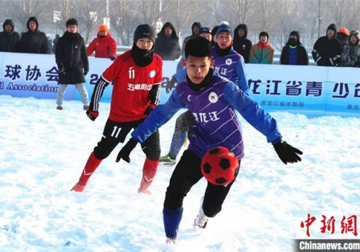 黑龙江省疫情防控指挥部最新公告,科学精准防控,筑牢北疆健康屏障 黑龙江省疫情防控指挥部最新公告,科学精准防控,筑牢北疆健康屏障