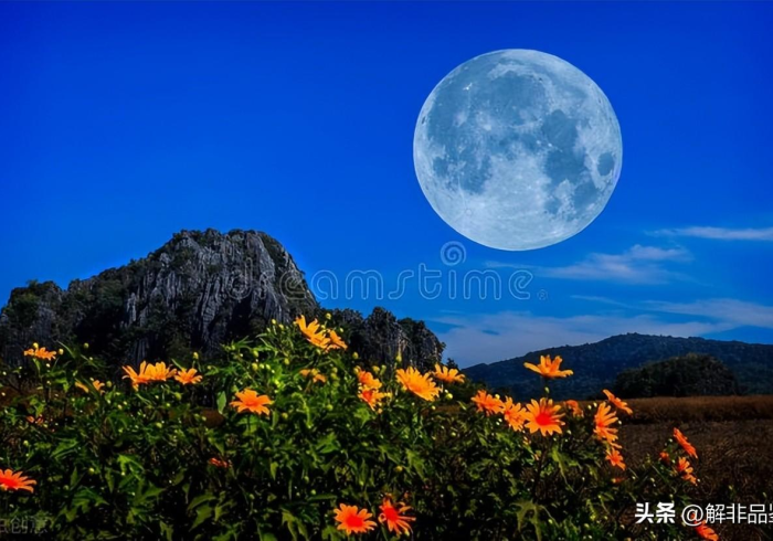 黑土之上,风雪中的生命长城 黑土之上,风雪中的生命长城