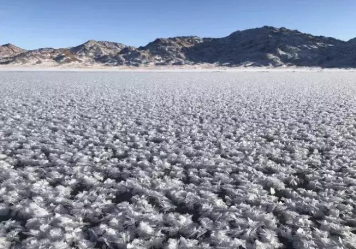 封冻之地的破晓,黑龙江战疫公告里的坚韧与温度 封冻之地的破晓,黑龙江战疫公告里的坚韧与温度