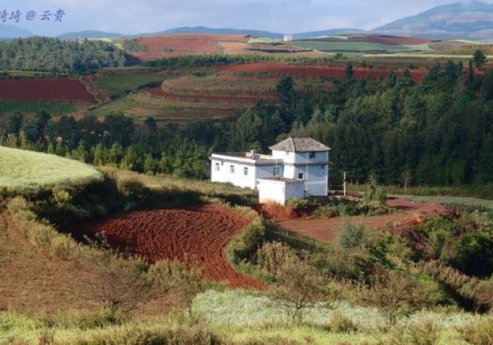 西宁的静默与复苏,一座高原古城的疫情叙事 西宁的静默与复苏,一座高原古城的疫情叙事