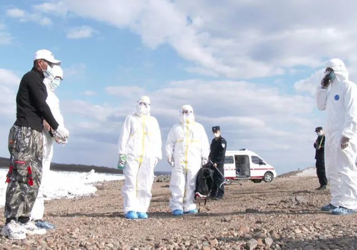 疫情孤岛突围,黑龙江病例新增背后的边境防疫史诗 疫情孤岛突围,黑龙江病例新增背后的边境防疫史诗