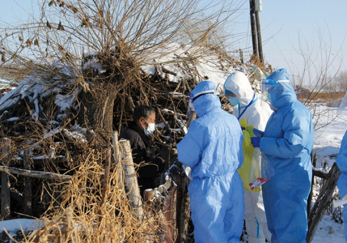黑龙江新增疫情,寒地战疫的坚韧与启示 黑龙江新增疫情,寒地战疫的坚韧与启示