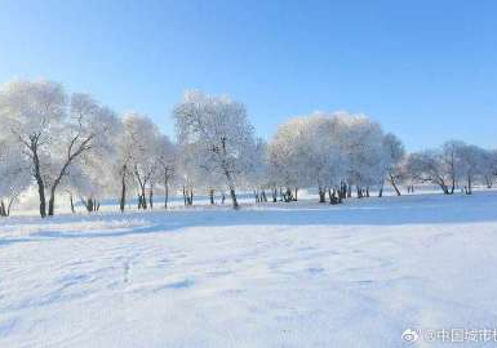 哈尔滨的白色寒冬，为何吹来内蒙古的风？