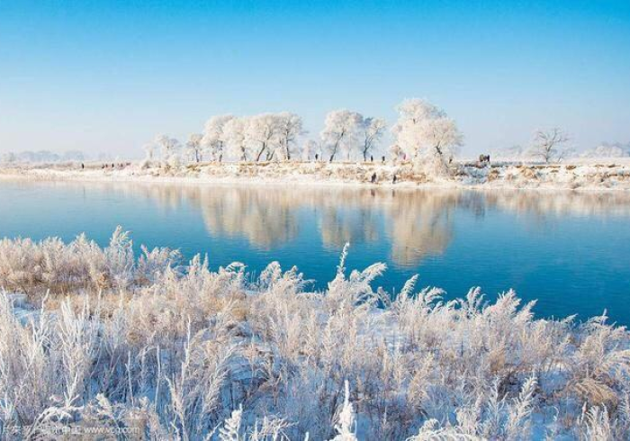 哈尔滨的白色寒冬，为何吹来内蒙古的风？