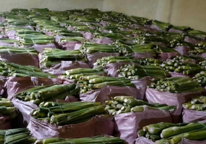 黑土地上的战疫群像，黑龙江疫情下的坚韧与守望