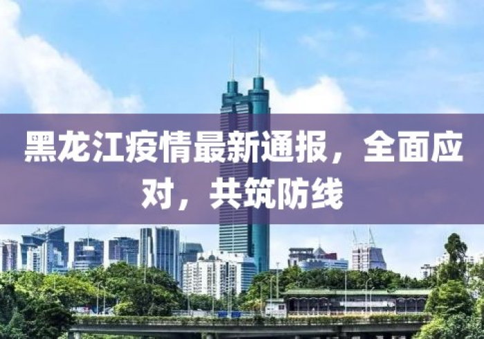 疫情通报,黑龙江的坚守与启示 疫情通报,黑龙江的坚守与启示