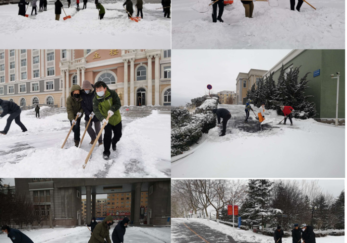 哈尔滨战疫记，风雪中的坚守与复苏
