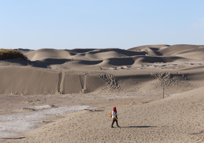 宁夏,黄沙与病毒间的寂静之战 宁夏,黄沙与病毒间的寂静之战
