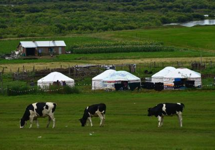 卫健委的加减法,呼和浩特如何织密草原健康网? 卫健委的加减法,呼和浩特如何织密草原健康网?