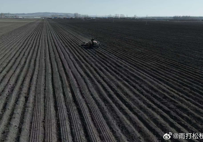 疫情通报折射黑土地上的治理韧性,黑龙江兰西的透明之战 疫情通报折射黑土地上的治理韧性,黑龙江兰西的透明之战