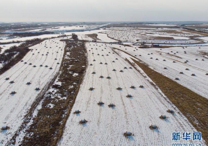疫情双城记,黑土地上的坚守与黄河岸边的复苏 疫情双城记,黑土地上的坚守与黄河岸边的复苏