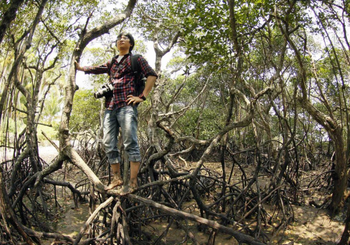 疫情下的双城记,黑龙江的坚守与银川的远见 疫情下的双城记,黑龙江的坚守与银川的远见