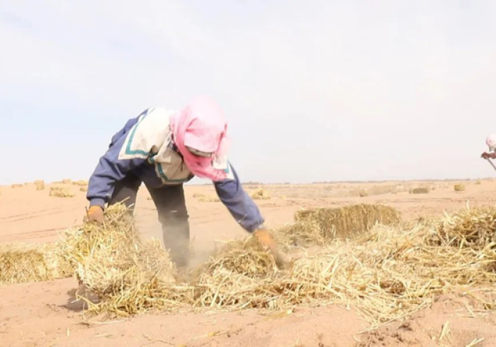 银川战疫,戈壁绿洲上的坚韧与温情 银川战疫,戈壁绿洲上的坚韧与温情